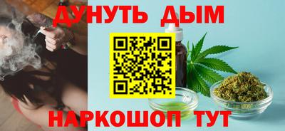 мдпв Новозыбков