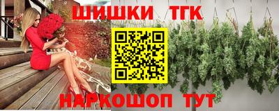 индика Нягань