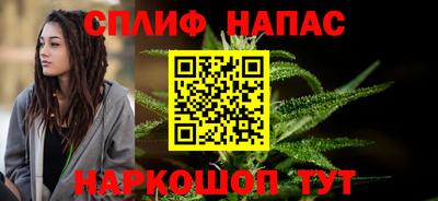 мдпв Новозыбков