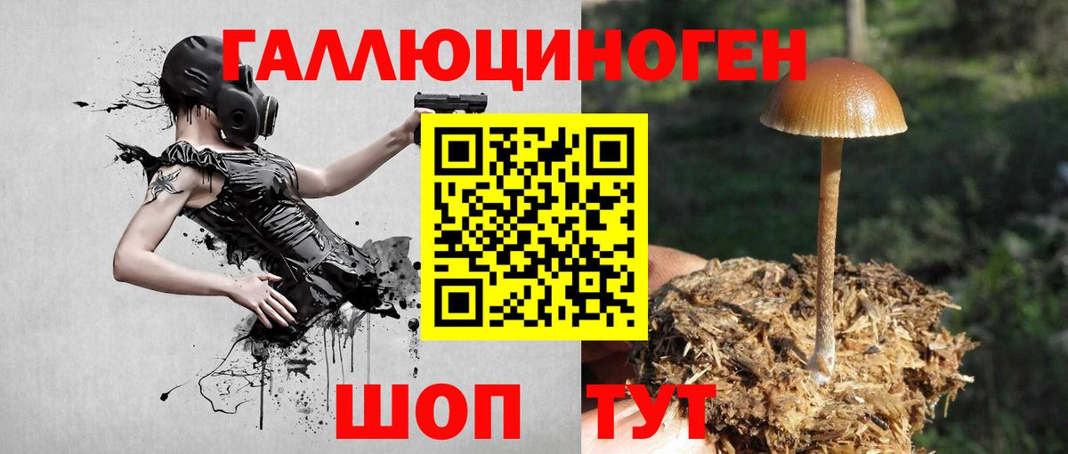 Галлюциногенные грибы прущие грибы Ртищево