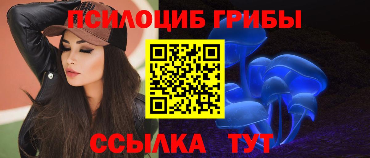 Псилоцибиновые грибы прущие грибы  Вход с VPN  где продают   Ртищево 